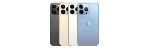 iPhone 13 Pro Max (A2643 / A2645)