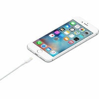 Apple Lightning auf USB-A Kabel (2m), Blister