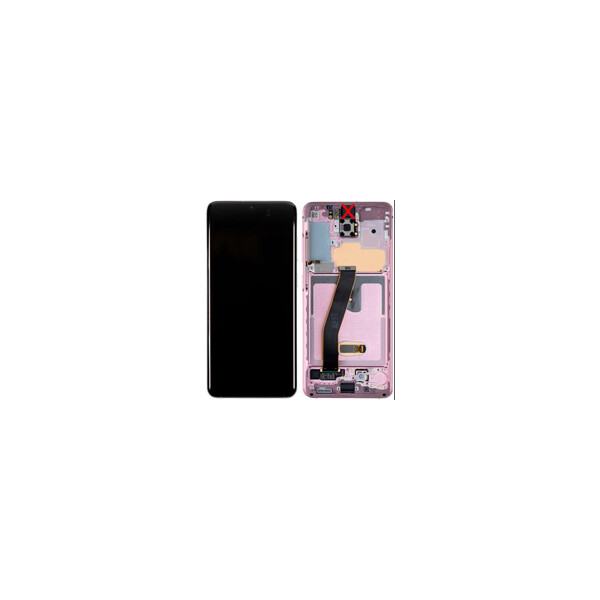 Samsung G980F / G981B Galaxy S20 Display mit Rahmen (ohne Front Kamera) Pink