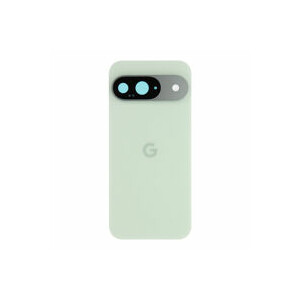 Google Pixel 9 Backcover mojito